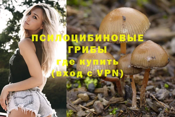 а пвп мука Заволжск