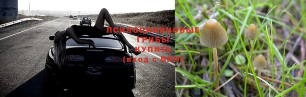 а пвп мука Заволжск