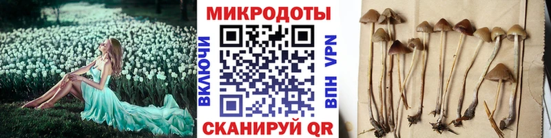 Псилоцибиновые грибы Cubensis Разумное
